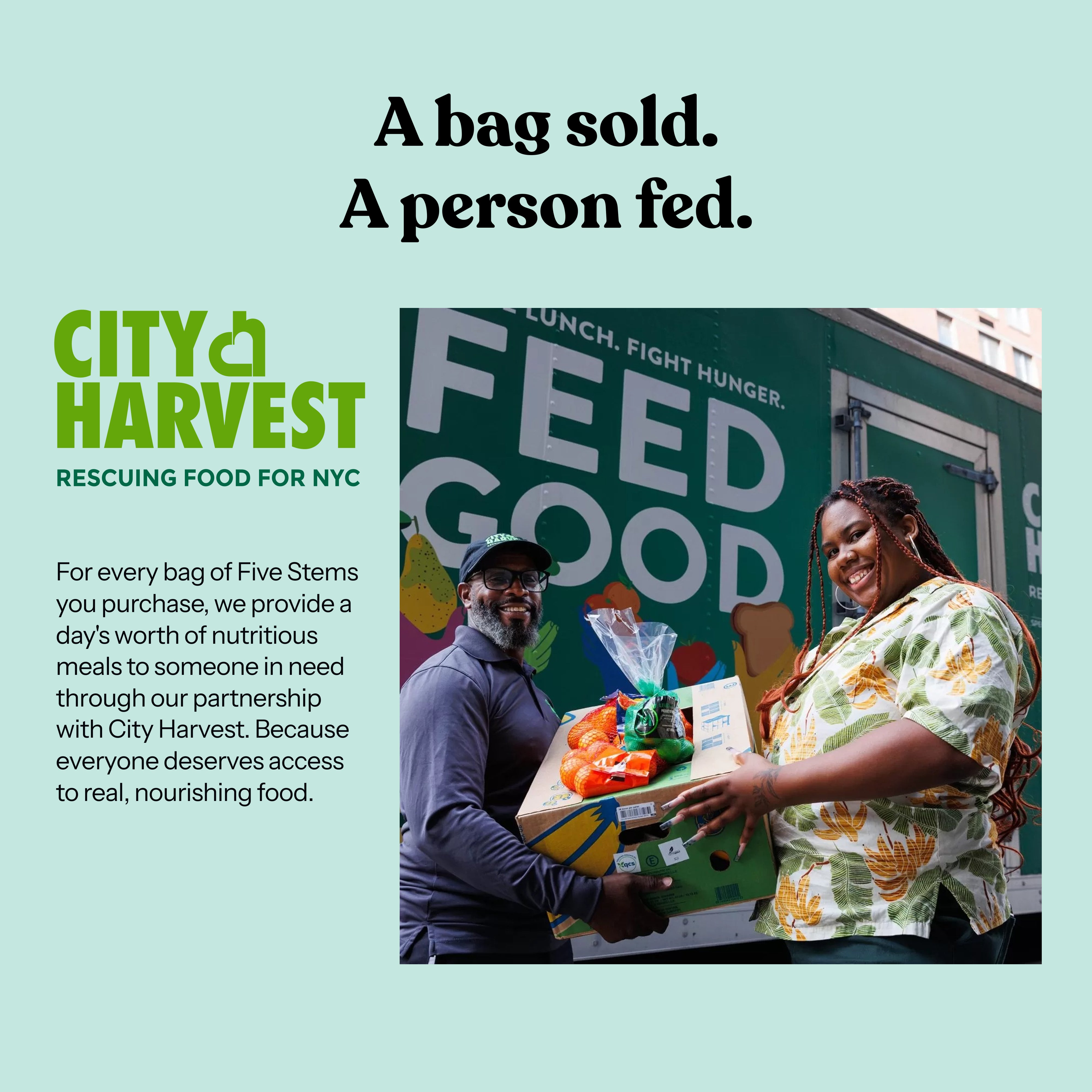 Close-up of a single green leaf against a white background.