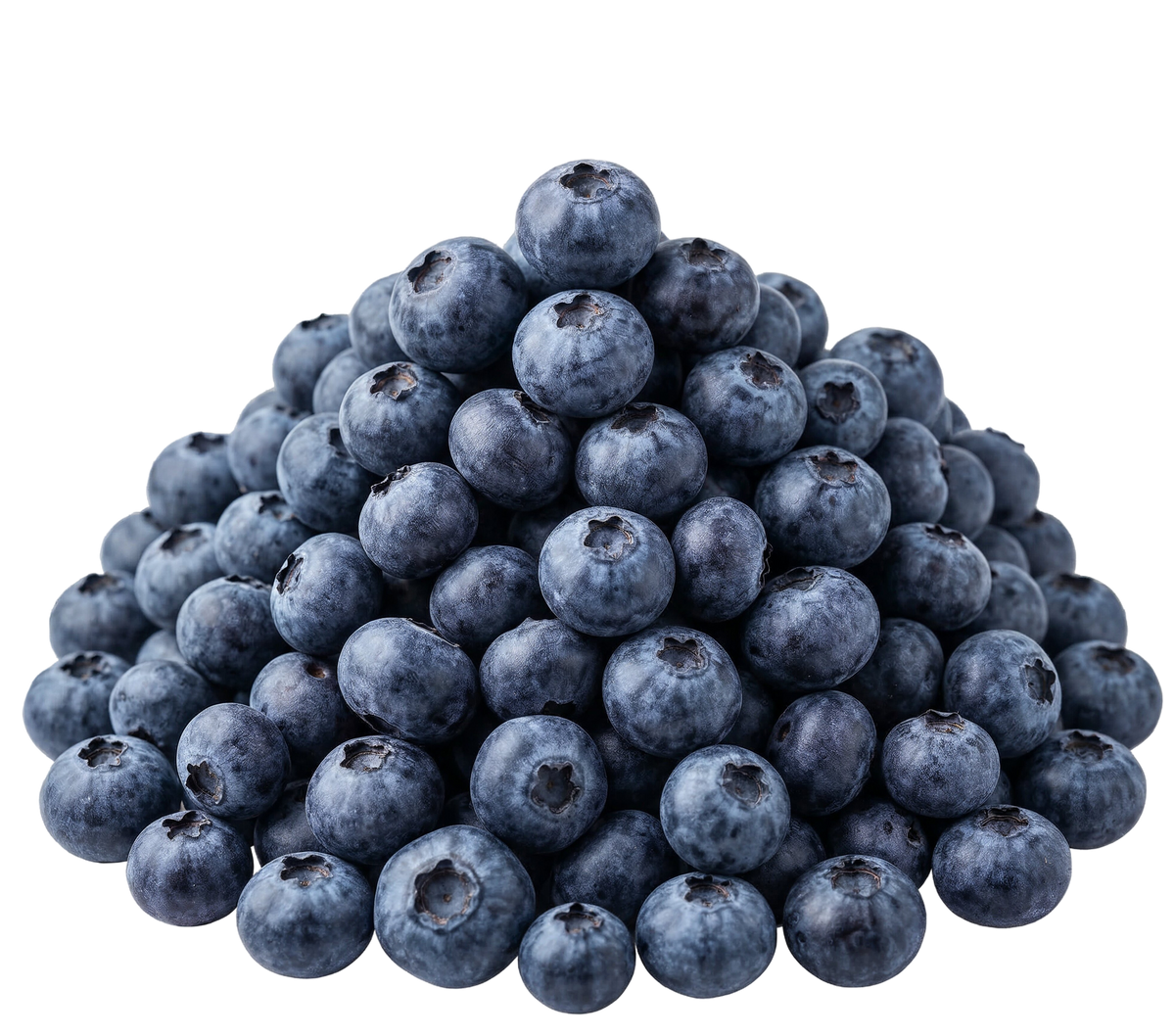 540 Organic Blueberries