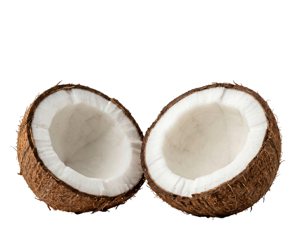 Organic Coconut Oil