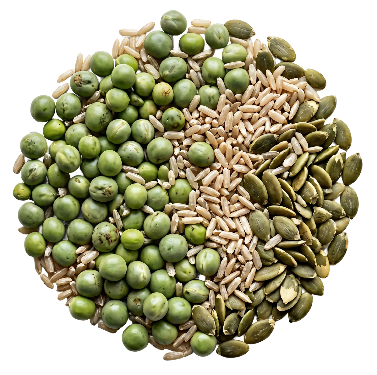 Organic Plant Protein Blend