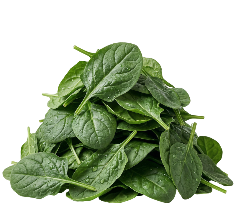 200 organic spinach leaves